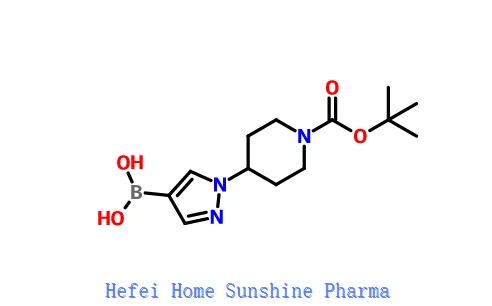 1-(1-(tert-Βουτοξυανθυλο)πιπεριδίνη-4-yl)-1H-πυραζόλη-4-υλμπορονικό οξύ CAS 1190875-39-8