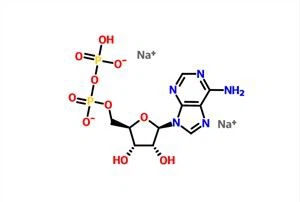 Adenosine 5'-diphosphate Disodium Salt(ADP-Na2) CAS 16178-48-6